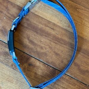 Fi GPS dog collar- series 1 or 2.  Fit black lab 110-115 lbs.